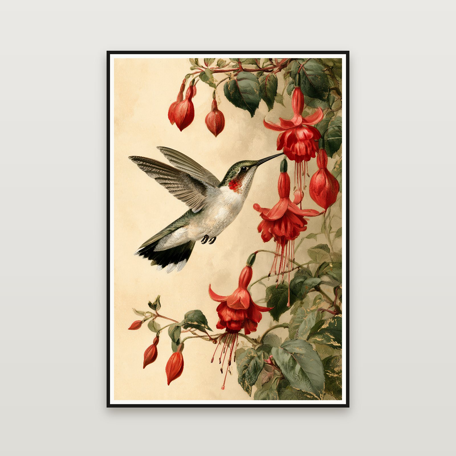Hummingbird and Fuchsia — framed on a wall
