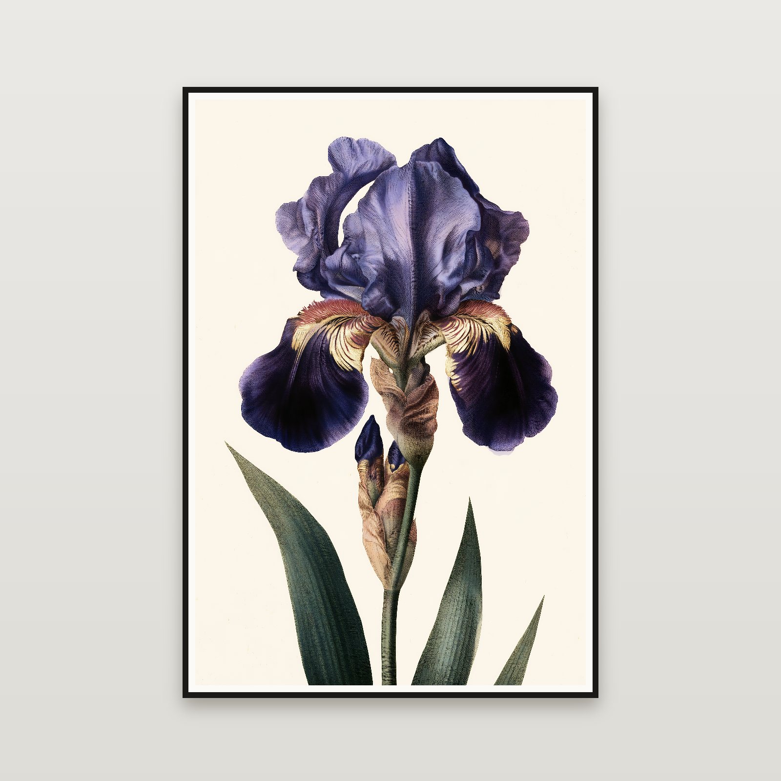 The Golden Iris — framed on a wall
