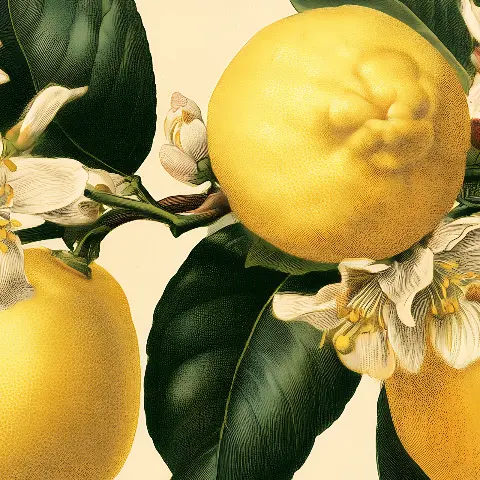 Lemon Branches in Gold – detail